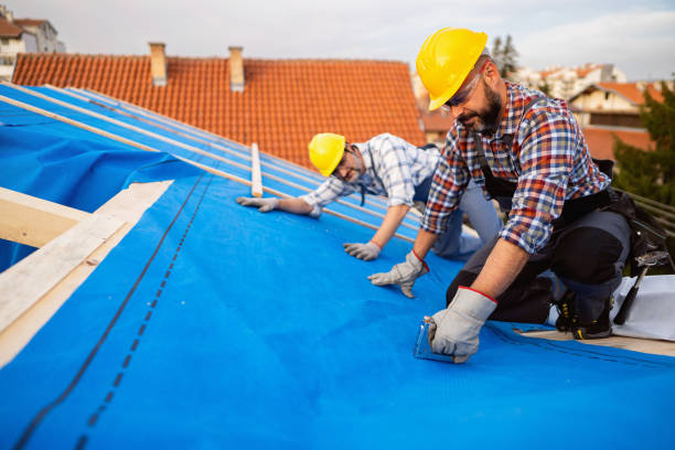 Roof Gutter Cleaning in Lemont, PA